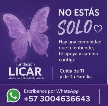 Encuentro amigos de LICAR